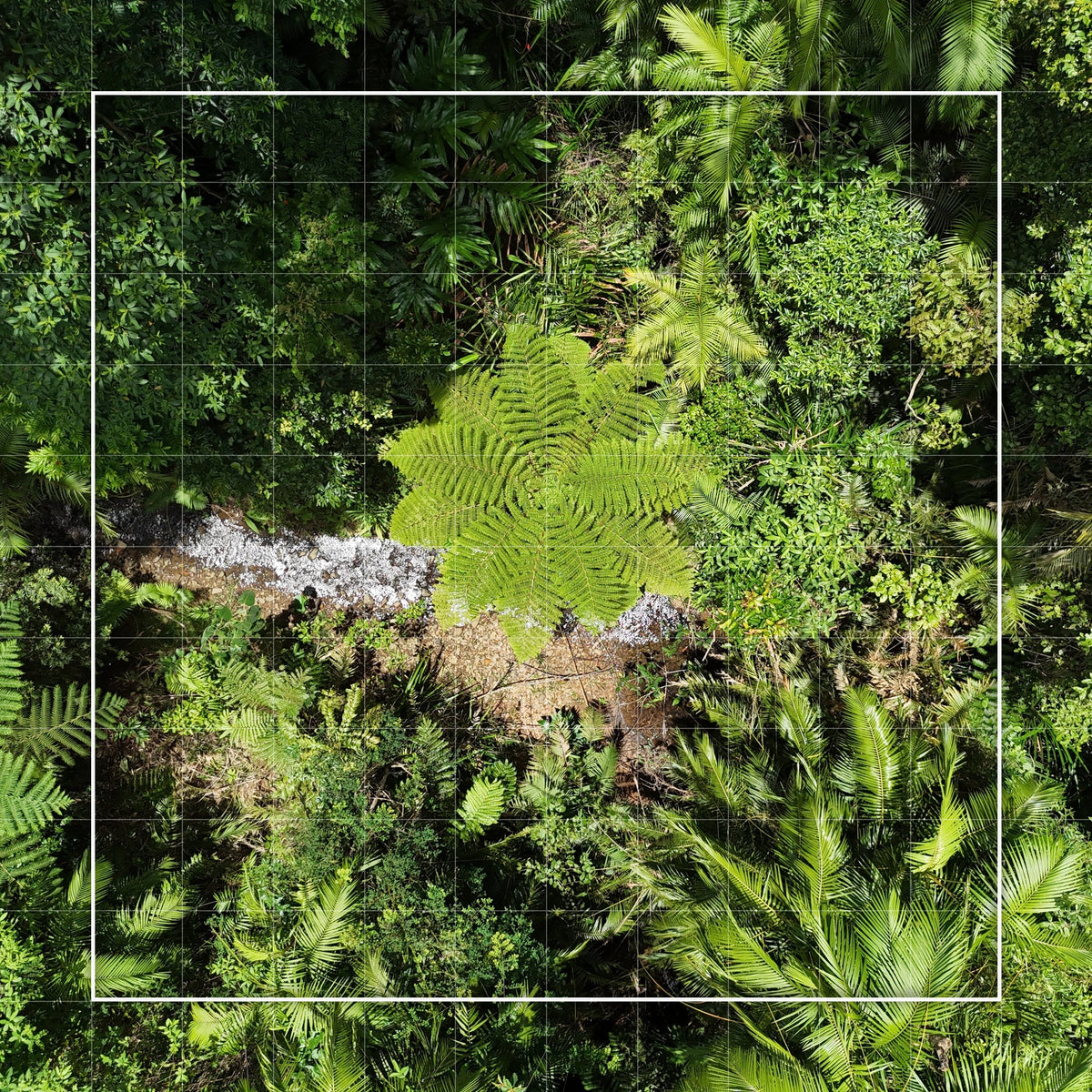 Canopy Keeper – 100 sqm
