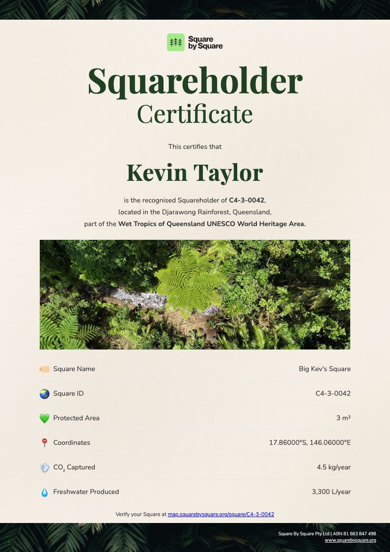 The Squareholder Certificate — the real certificate he receives