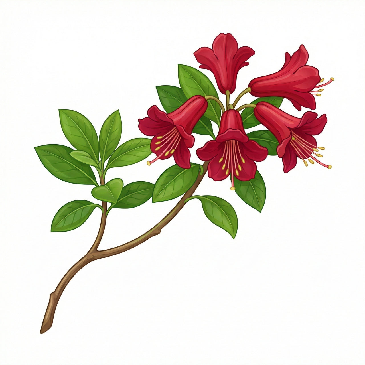 Habitat Nine – 9sqm