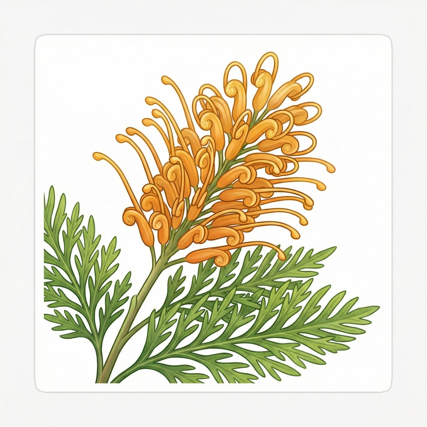 Habitat Nine – 9sqm