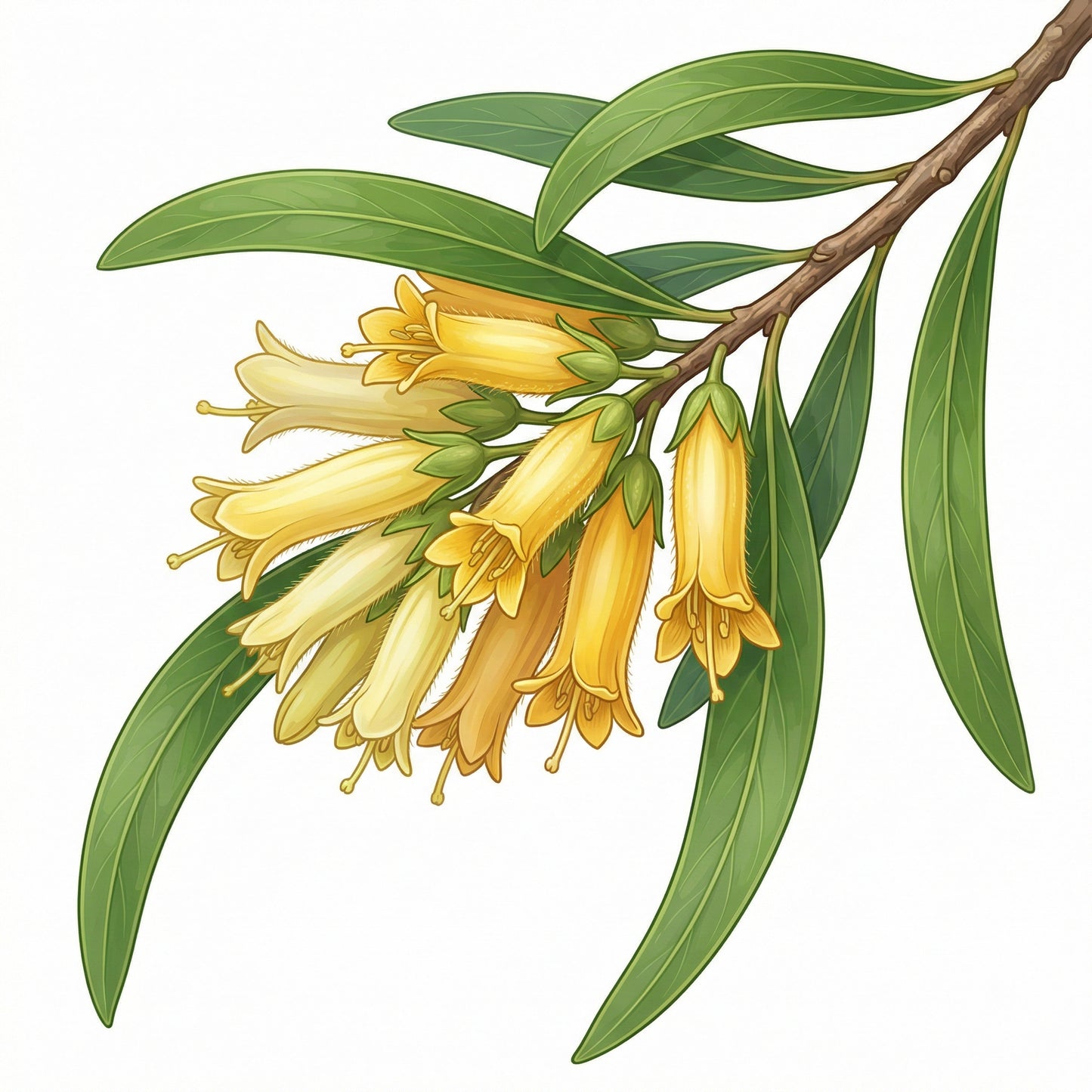 Habitat Nine – 9sqm