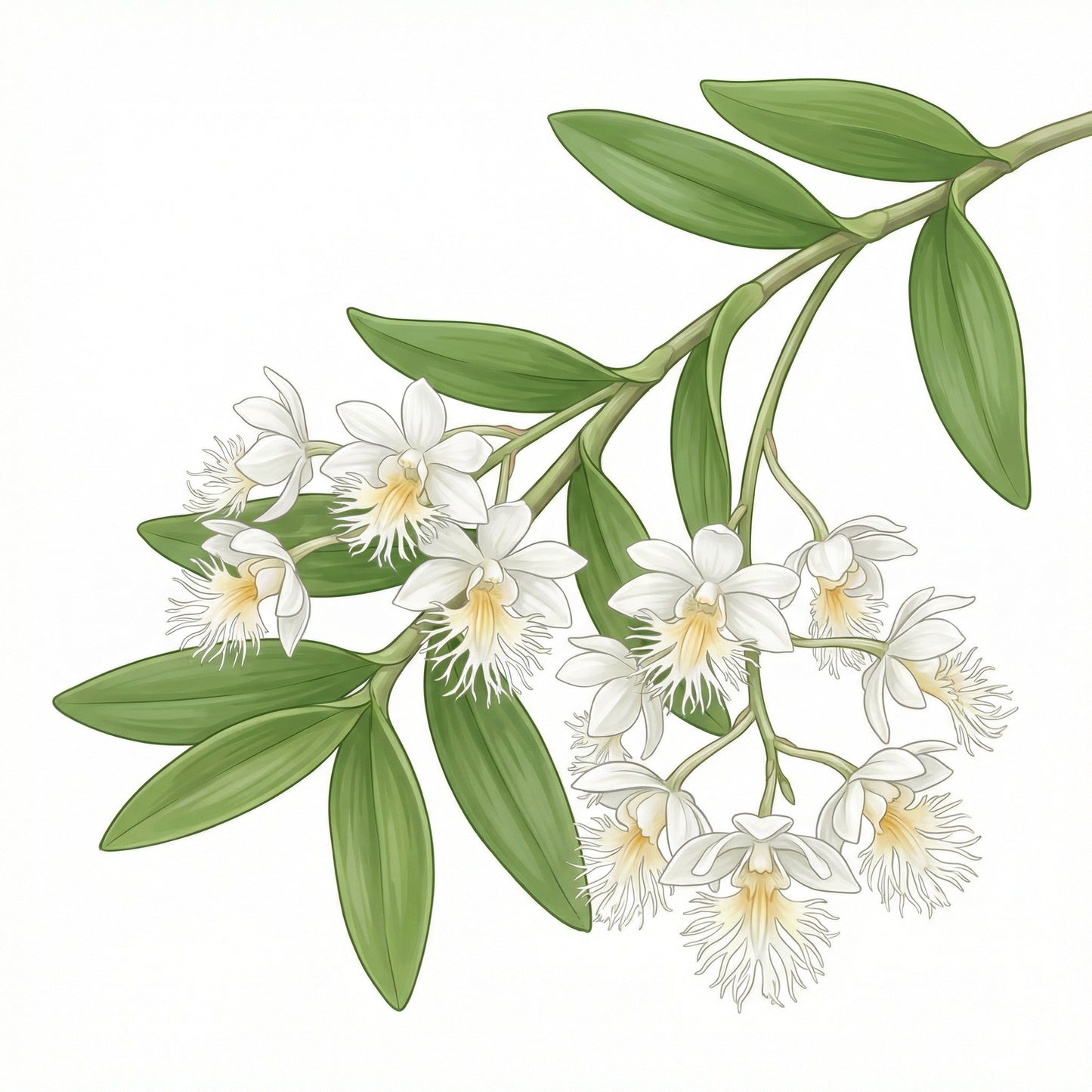 Habitat Nine – 9sqm