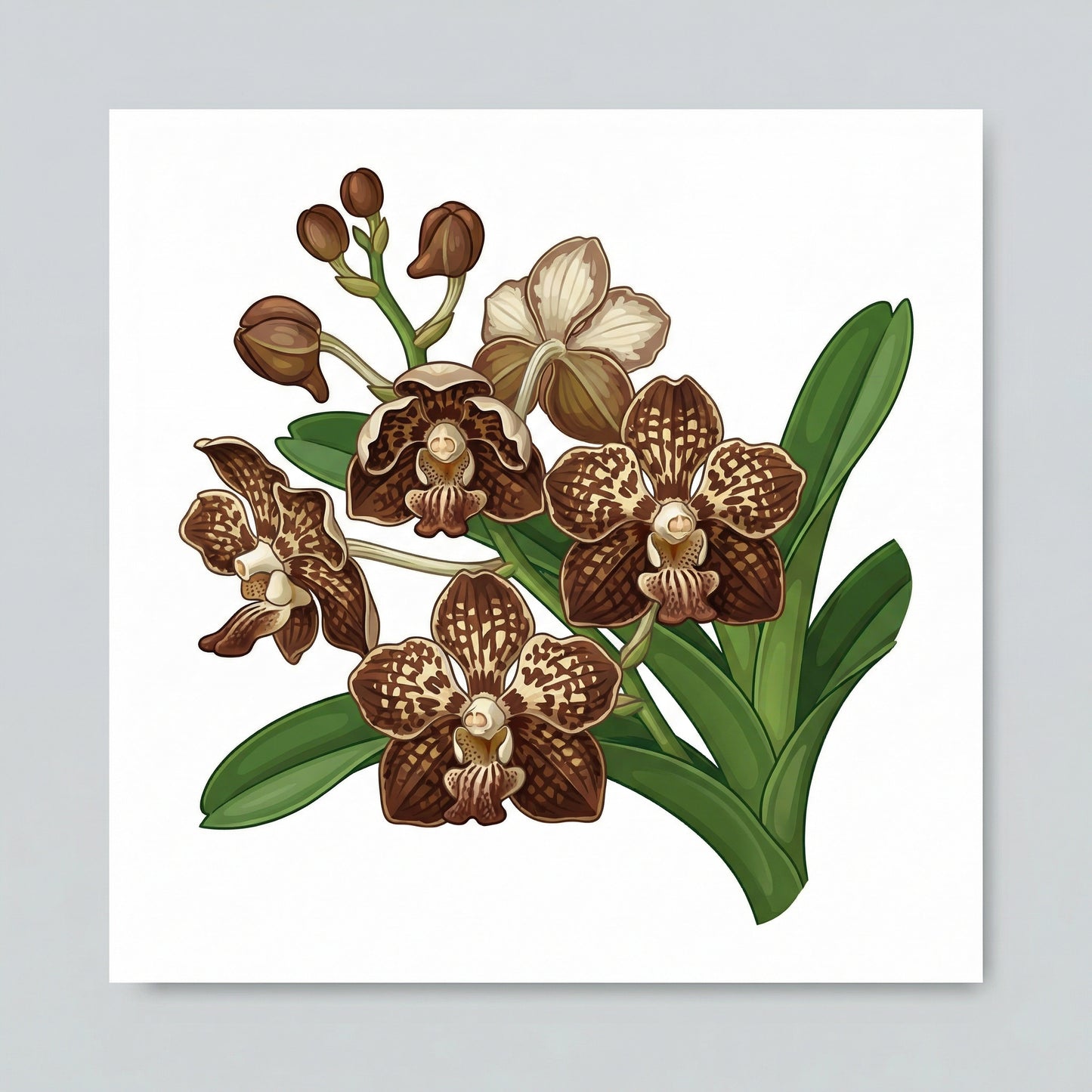 Habitat Nine – 9sqm