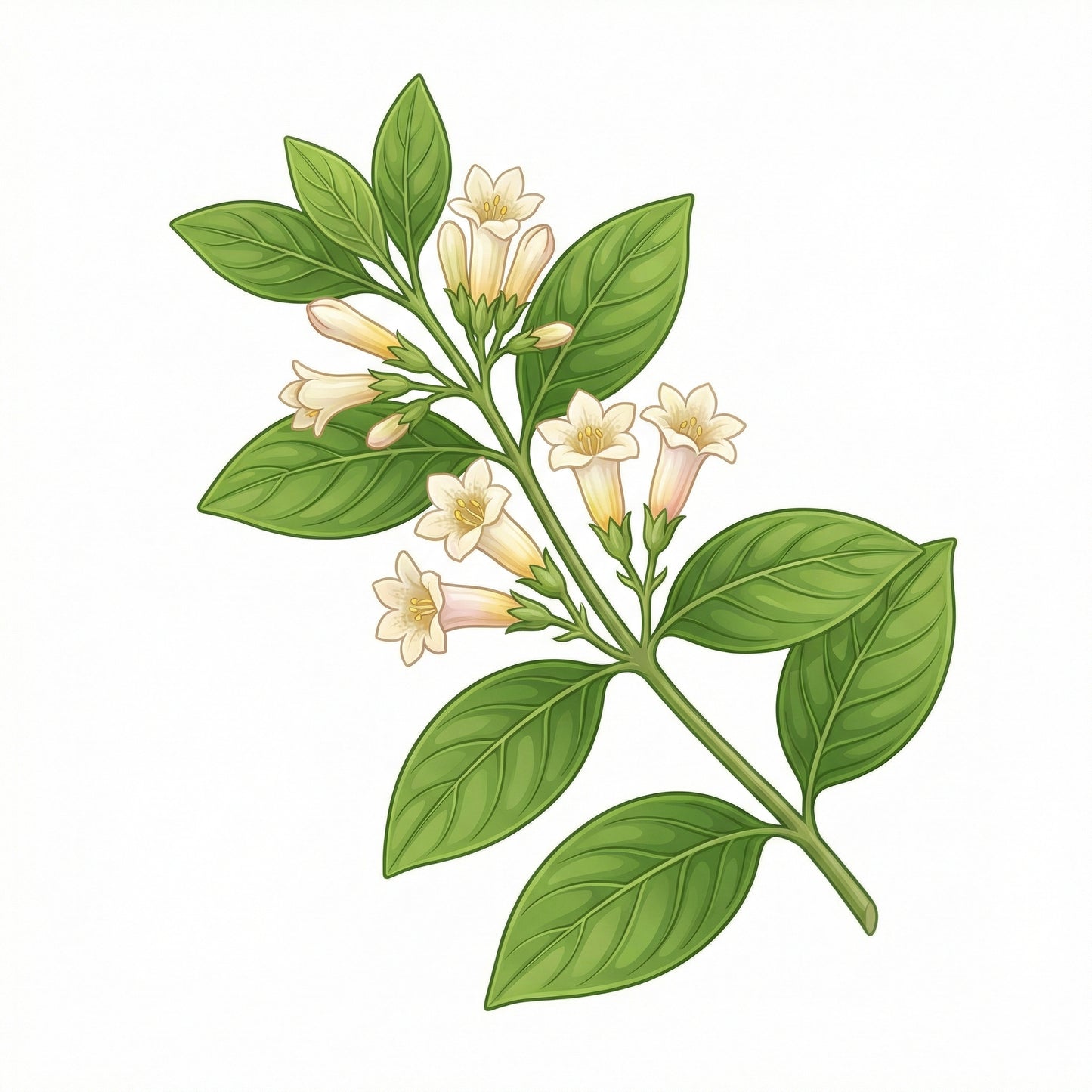 Habitat Nine – 9sqm