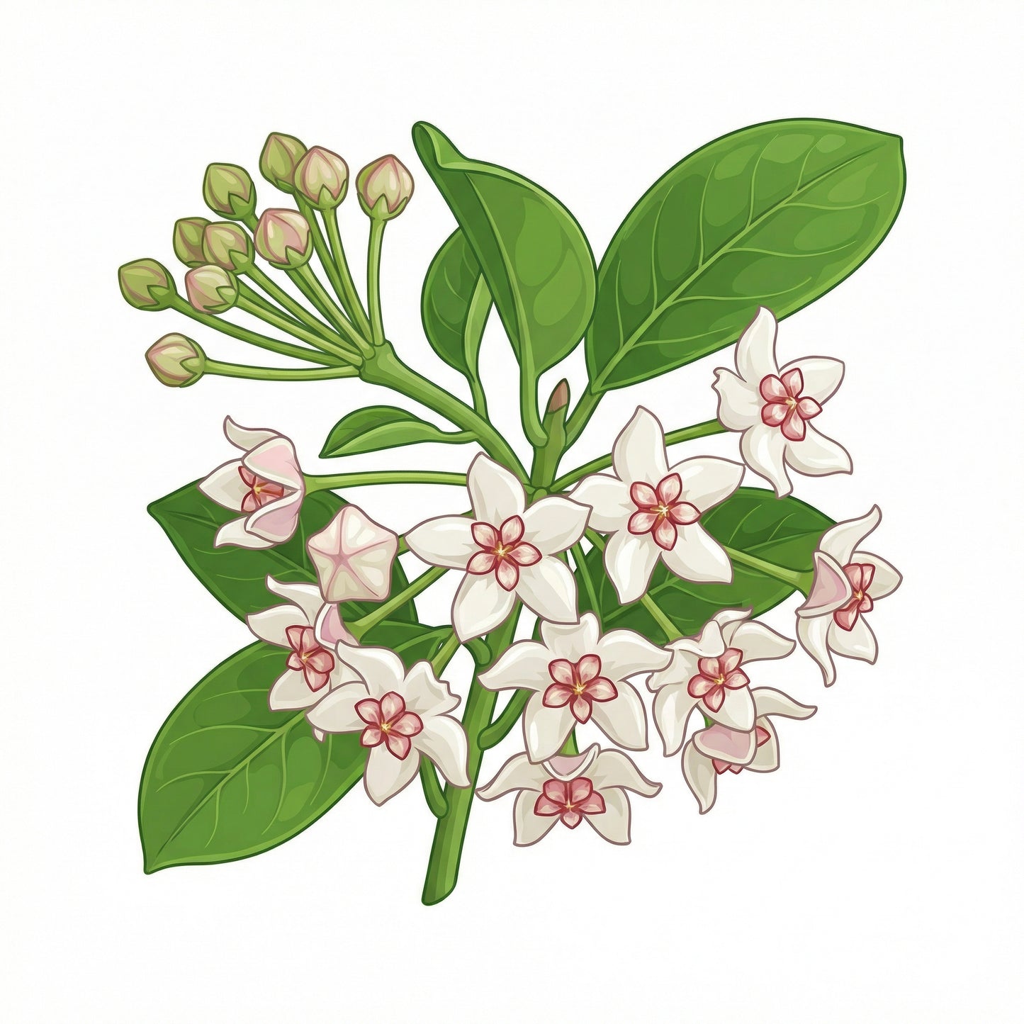 Habitat Nine – 9sqm