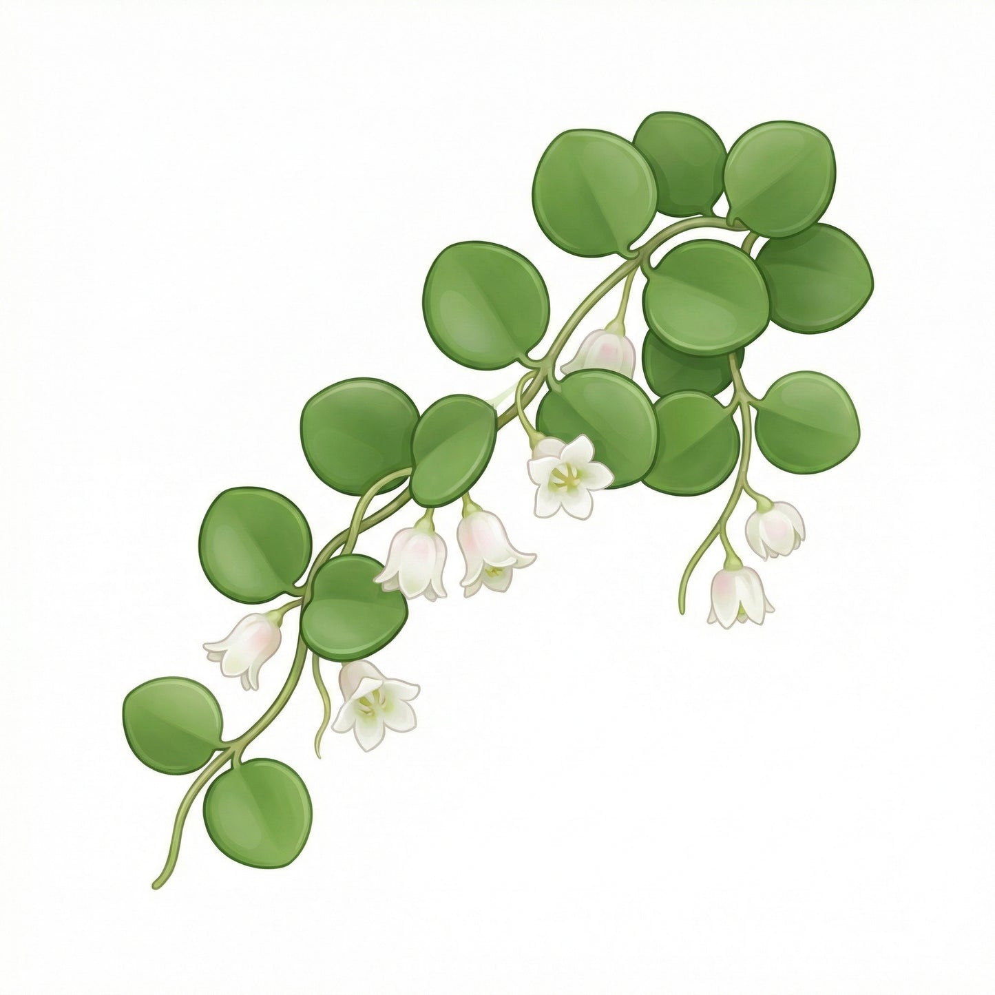 Habitat Nine – 9sqm