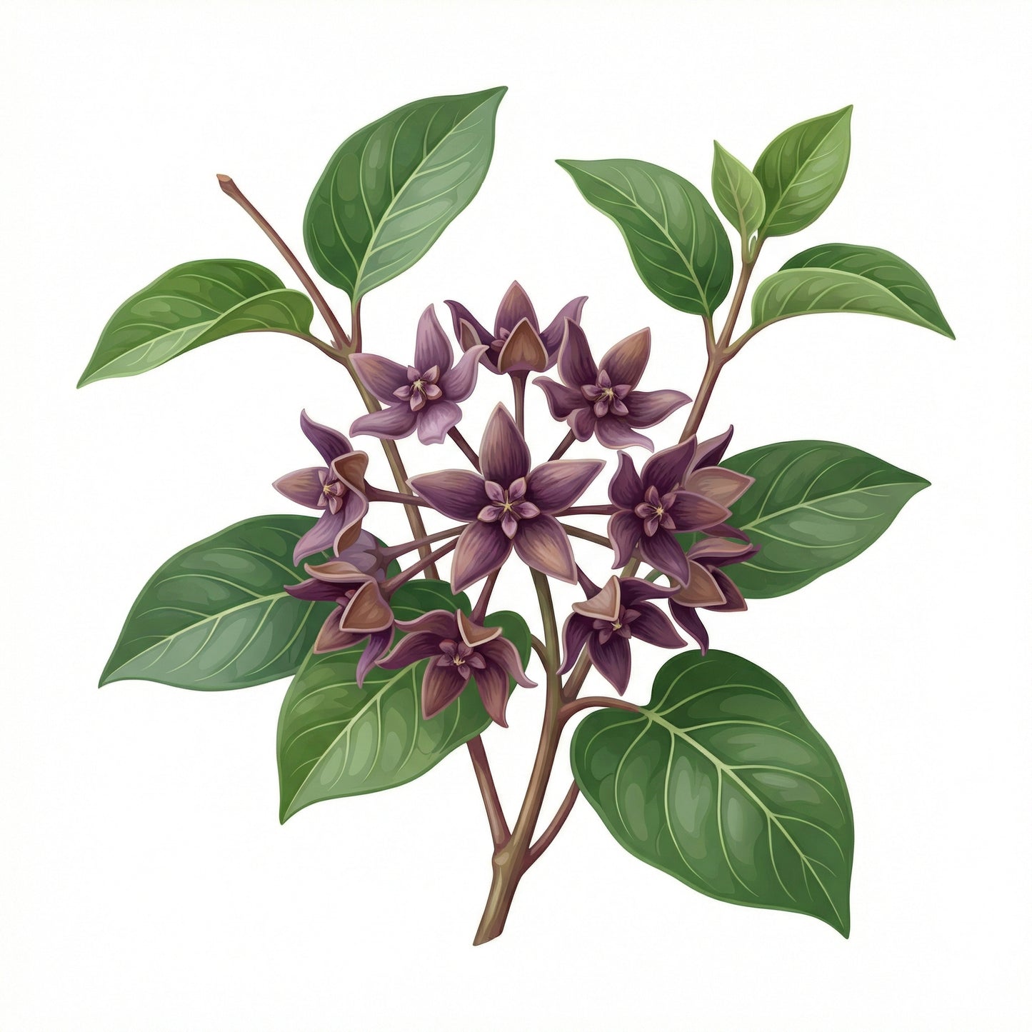 Habitat Nine – 9sqm