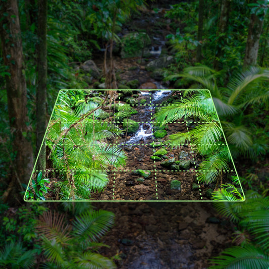 Forest Friend - 25 sqm