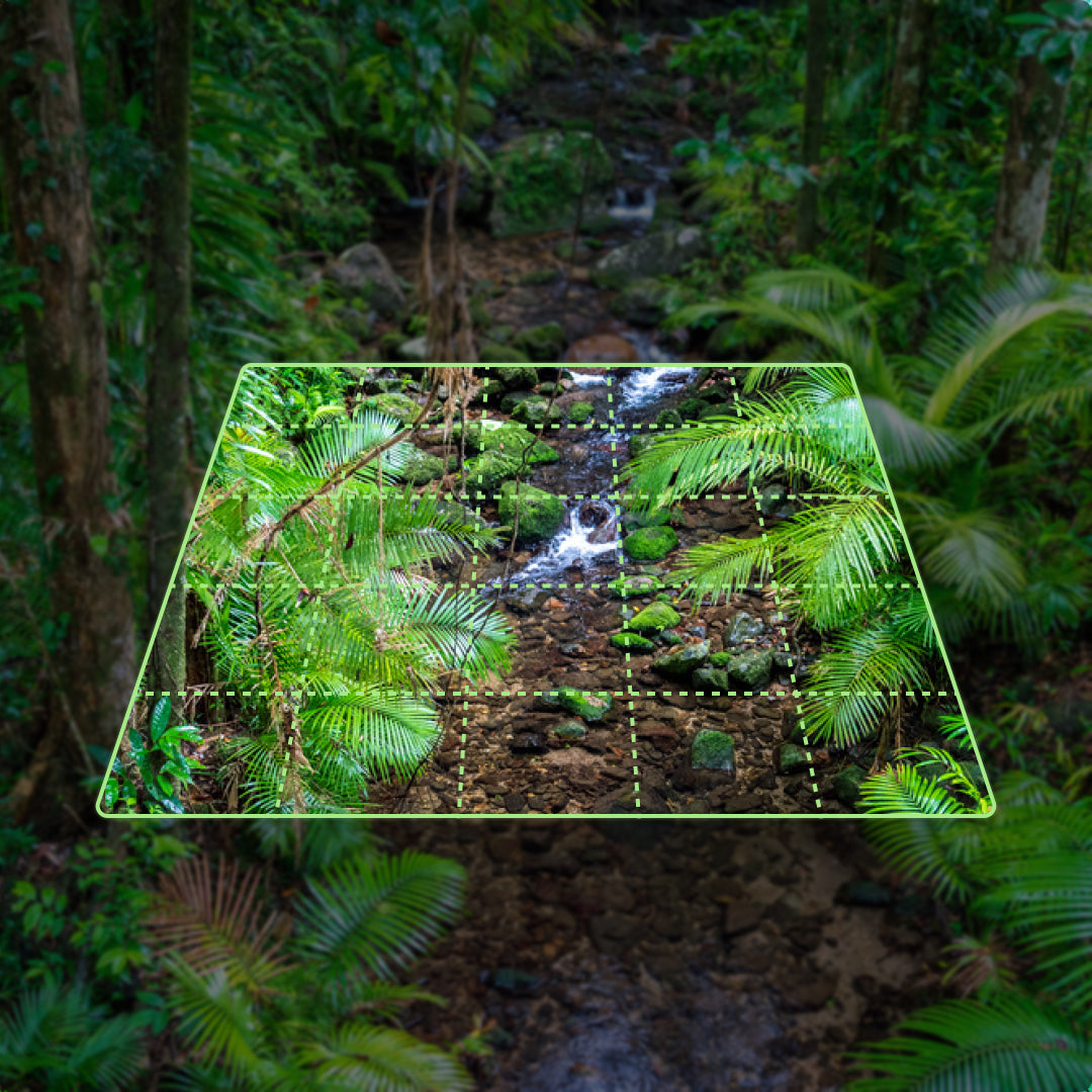 Forest Friend - 25 sqm