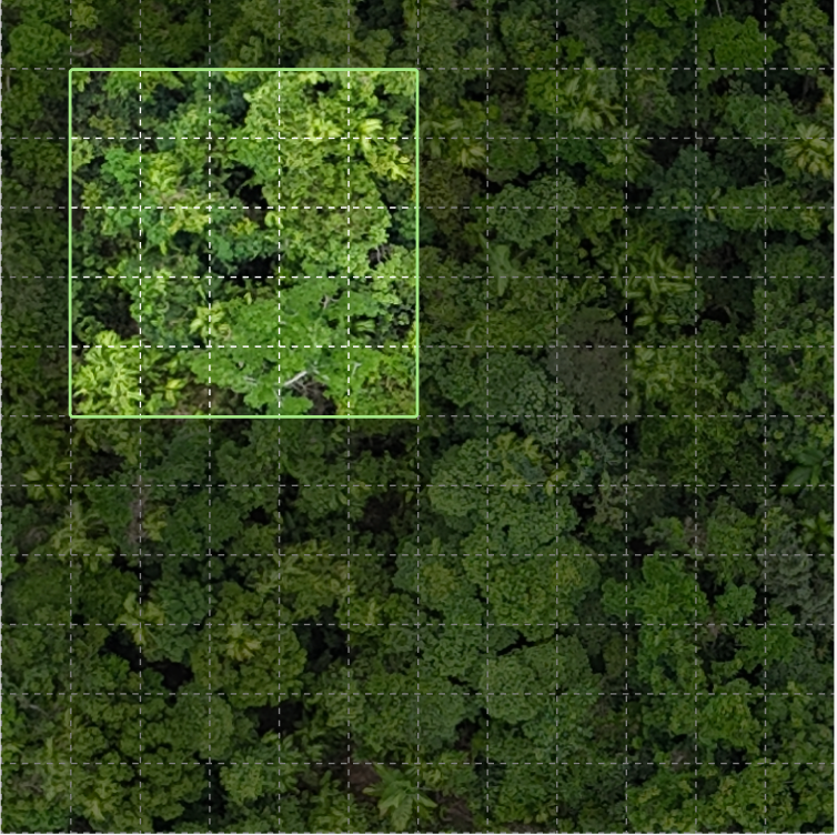 Forest Friend - 25 sqm