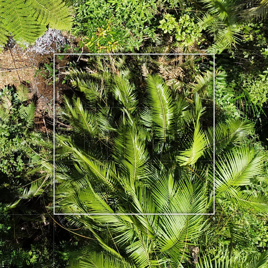 Habitat Nine – 9sqm