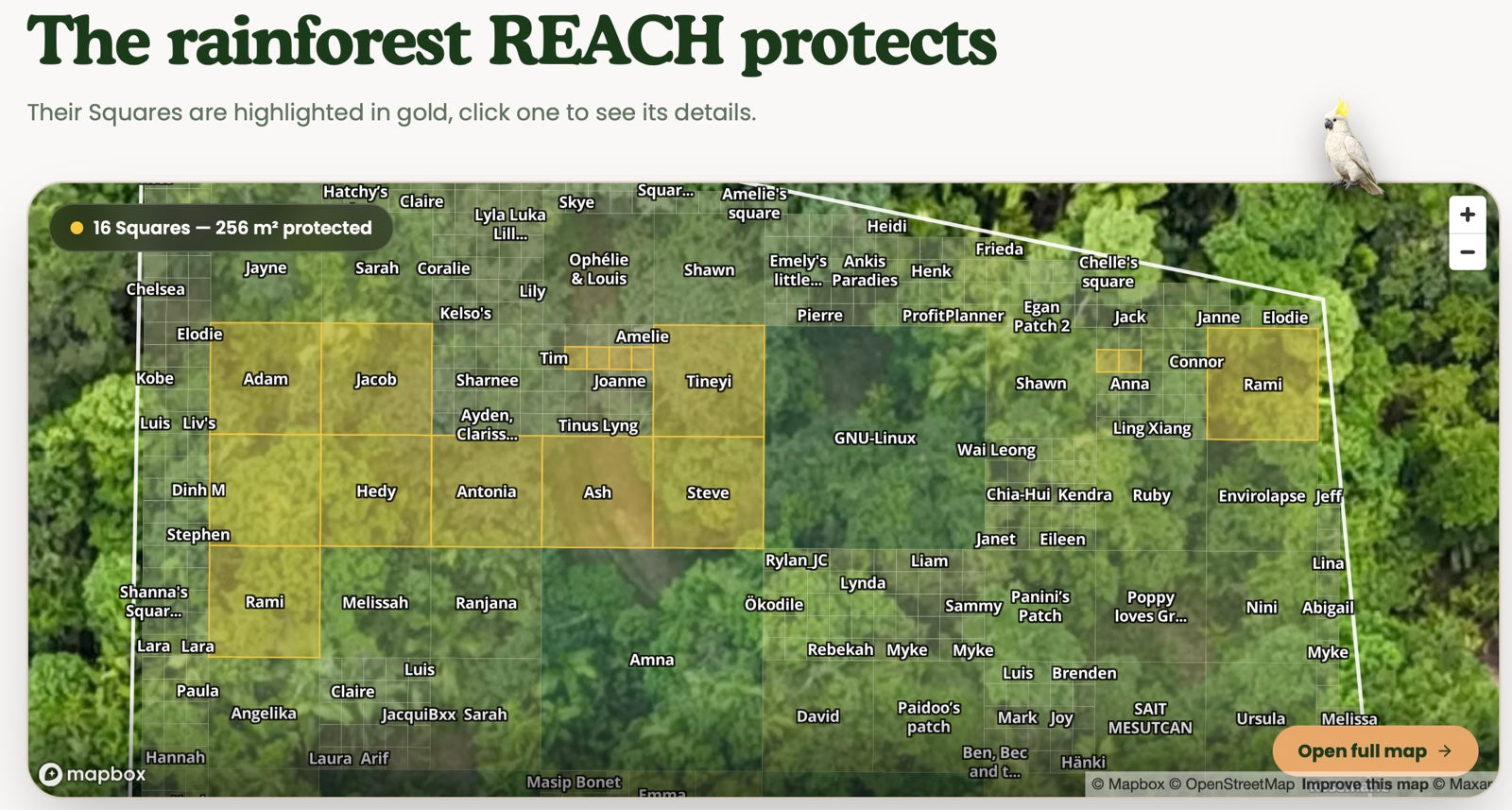 REACH's company profile on the live map, with their Squares highlighted in gold